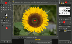 GIMP 3 (2025 Edition) Pro Graphic Design – Image Editing Software Program on CD