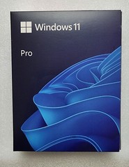 Microsoft Windows 11 Professional 64-Bit – USB Drive – New Sealed Retail Package